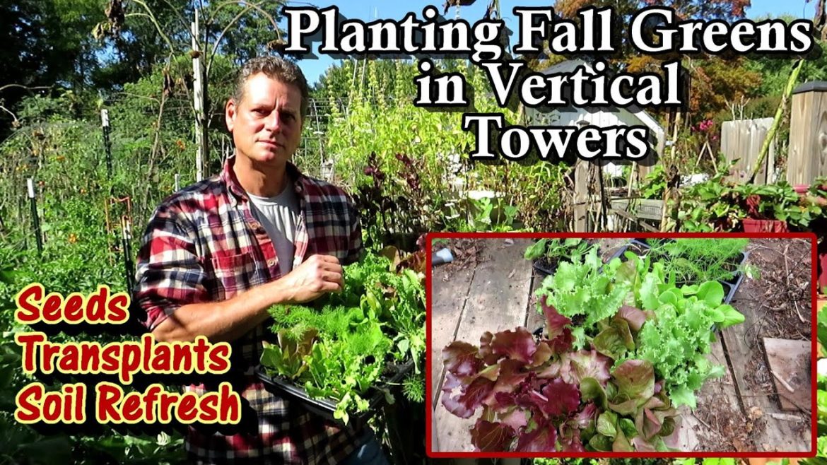 Planting a Vertical Tower with Fall Greens: Simple Soil Refresh, Fertilizing, Quick  & Easy Set Up!