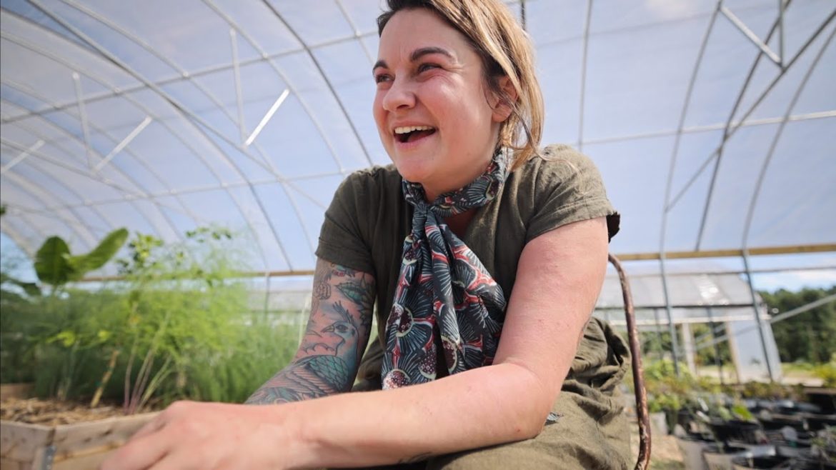 New Residents in the Garden (and some garden updates) | VLOG