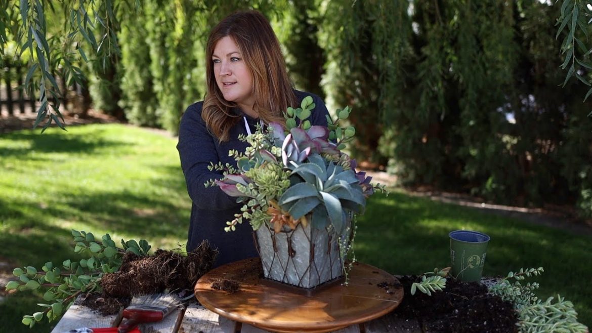 Making a Succulent Arrangement as a Housewarming Gift! 🪴🥰💜 // Garden Answer