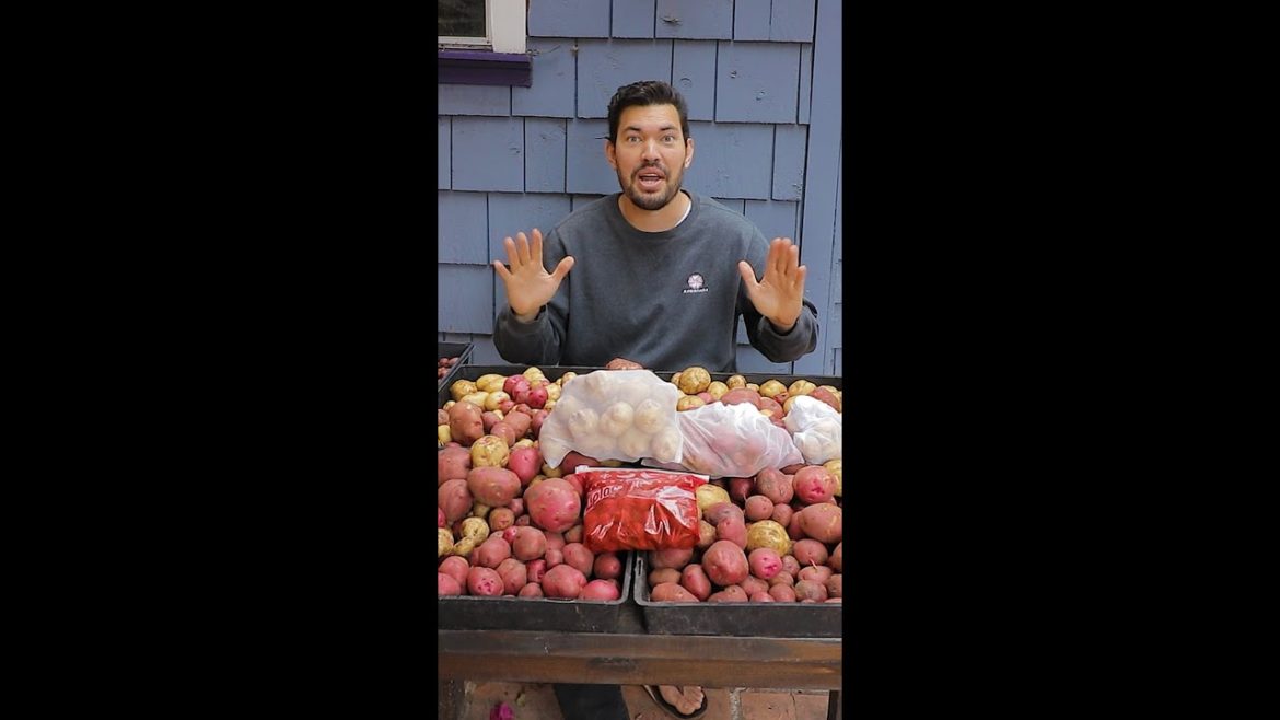 Surviving off of my garden for 30 days