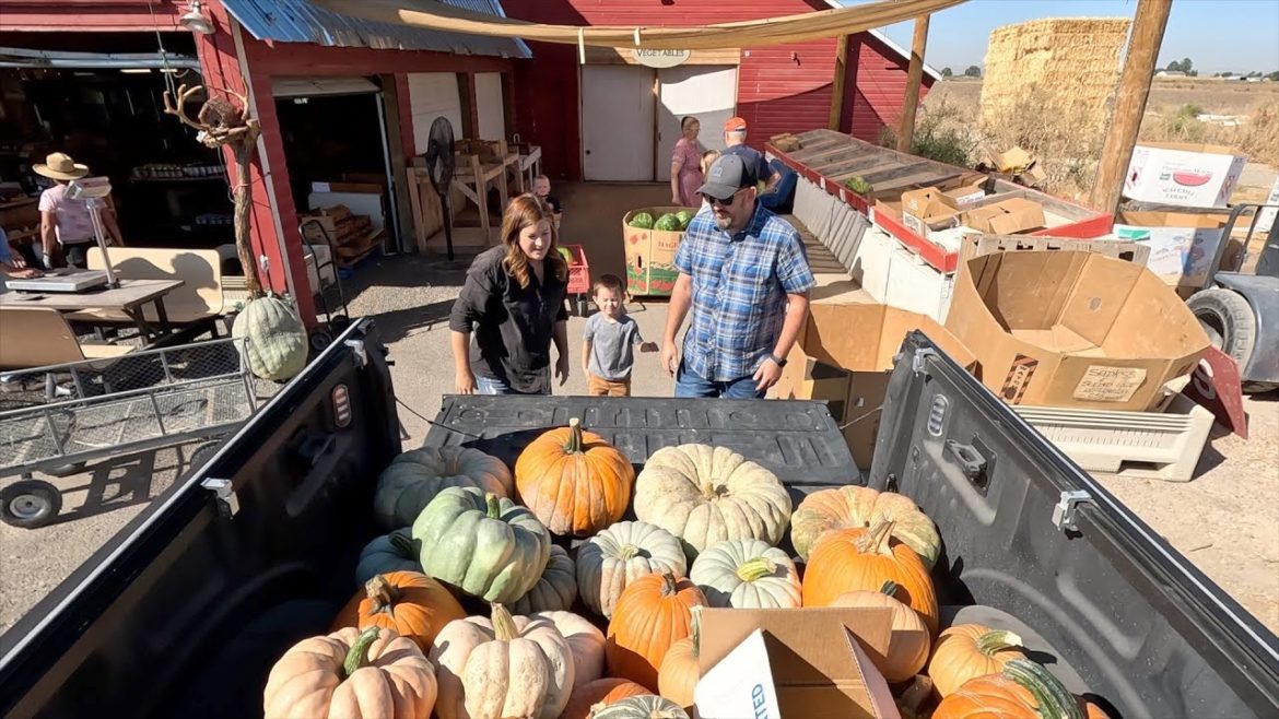 Surprising My Mom with a Porch Full of Pumpkins (& A Little Fall Planting in Our Garden)! 🎃🎃🎃