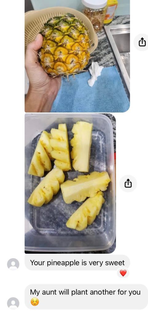 Slightly heartbroken. I’ve been growing this pineapple for 2.5 years.