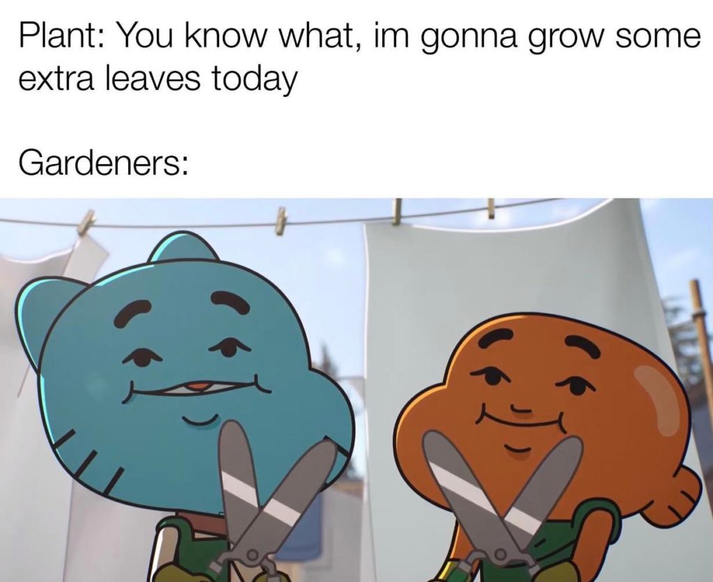 Hope this made you giggle as much as I did