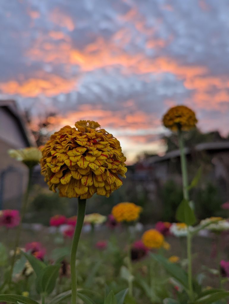 What a beautiful morning for the first day of fall!