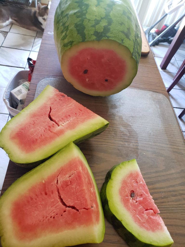 OK to eat? over or under riped?