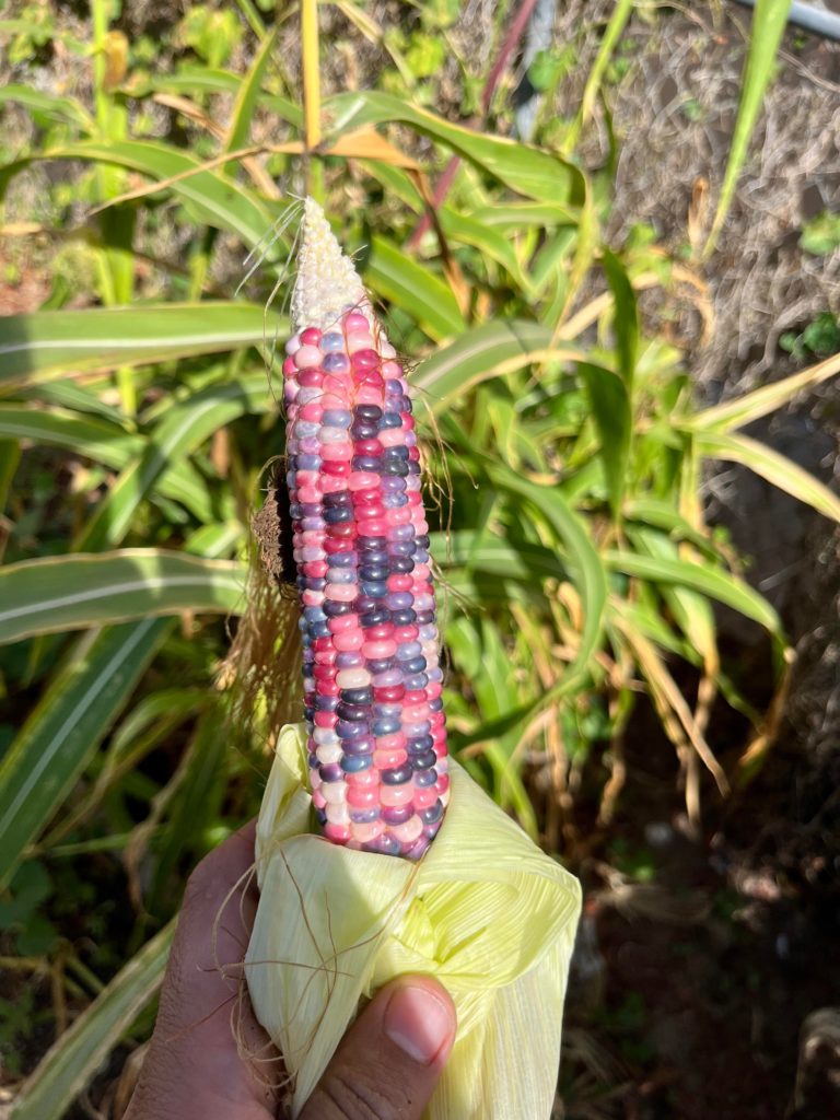 I couldn’t imagine a more beautiful thing.