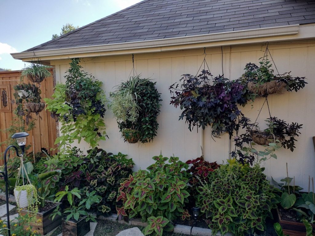 Basket wall with coleus bed