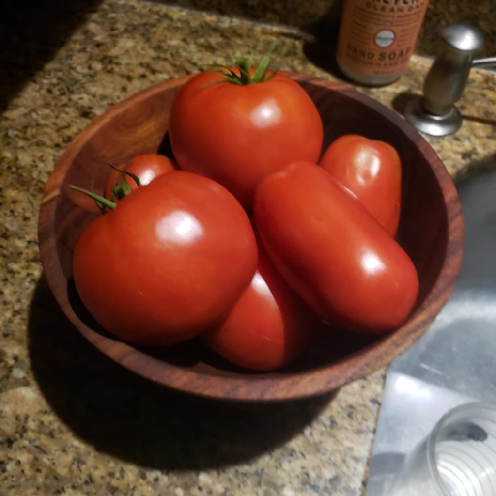100% Best tomatoes of the season.