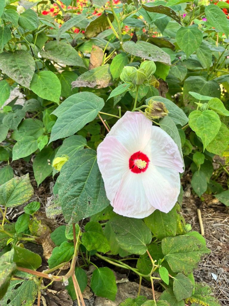 Just wanted to share it with you