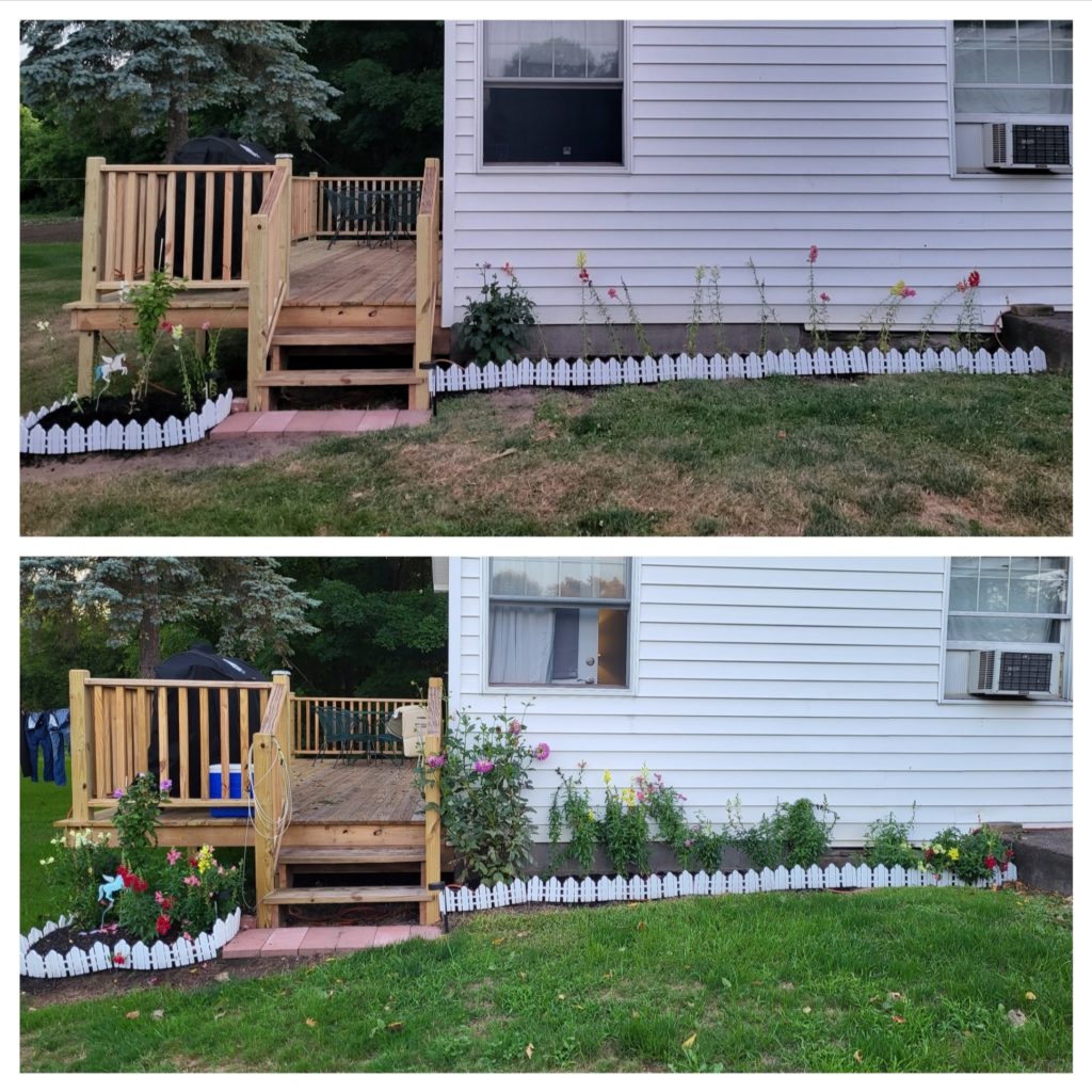 Zone 6A Flower Garden - Beginner ?s