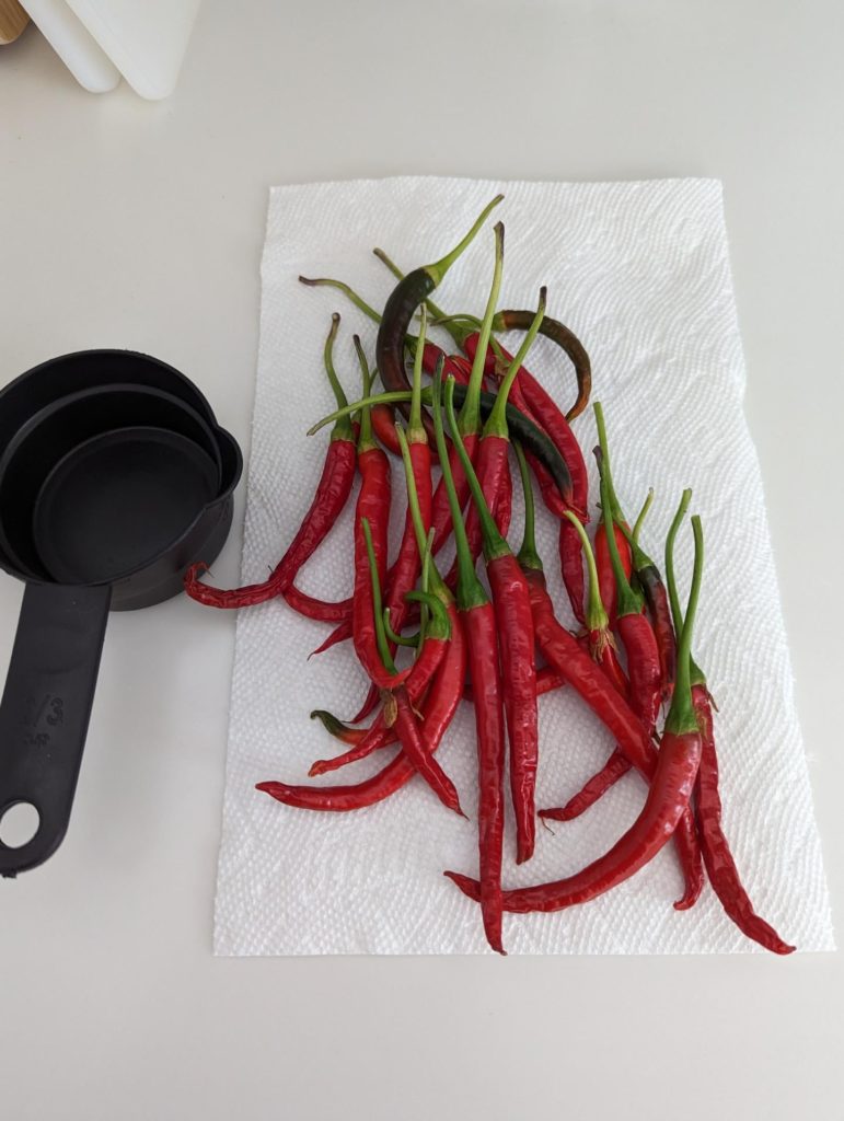 My first harvest ever! Thai red chillies.