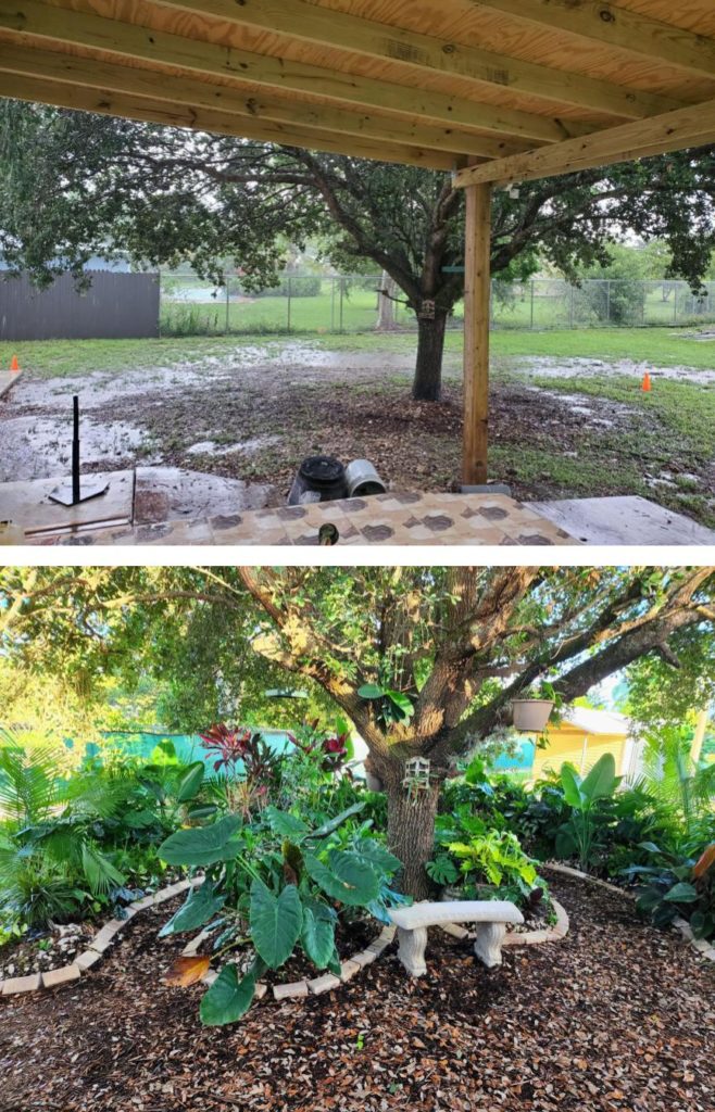 Made a Small Backyard Trail. Feeling inspired to tackle more areas around the house.