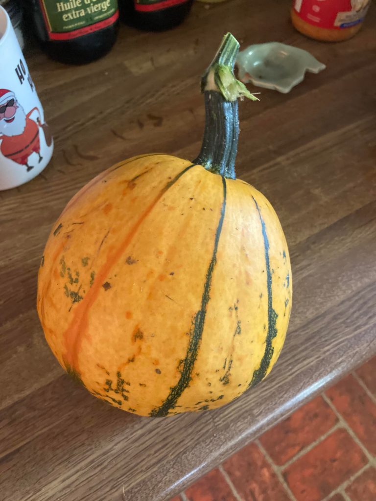 What kind of squash/ pumpkin is this?
