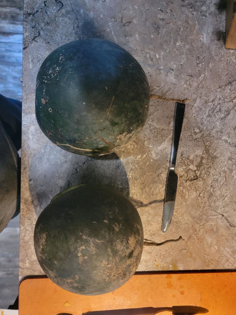 First 2 watermelons from the garden