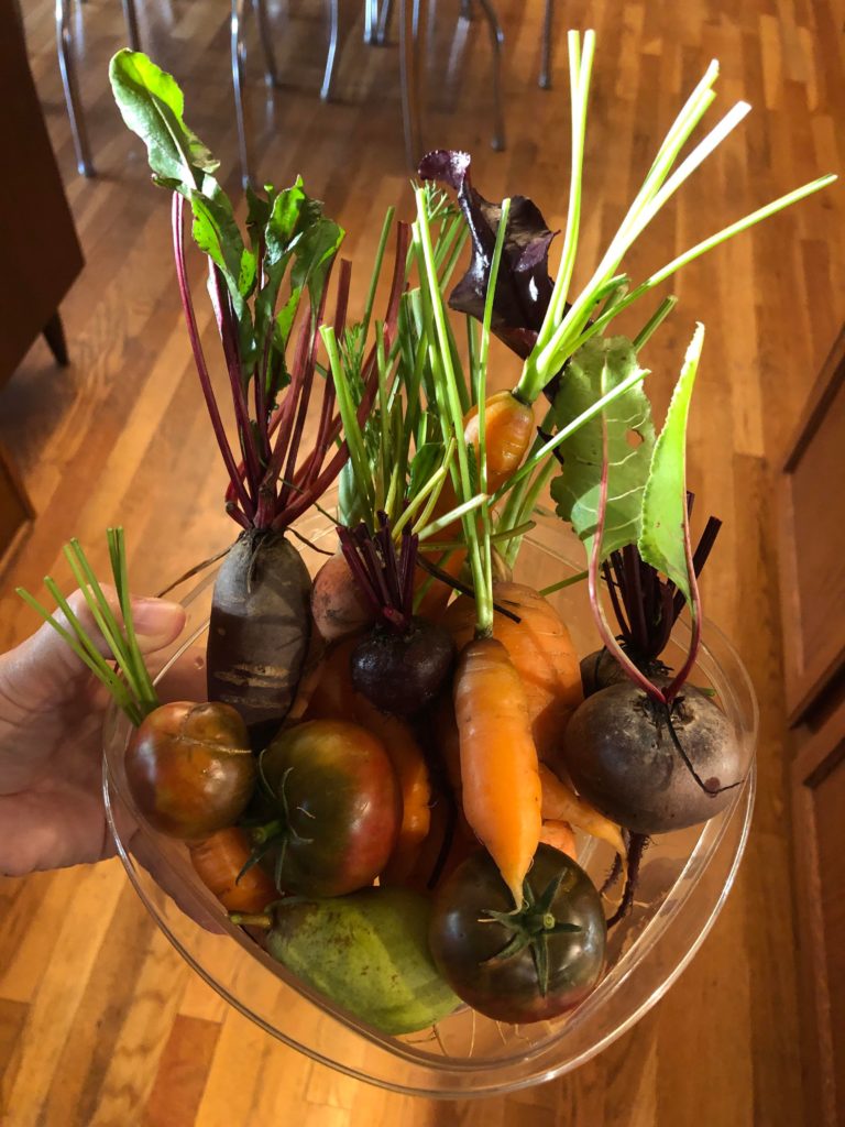 A tiny bounty from my tiny garden