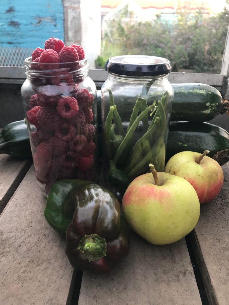 A pit stop at my allotment tonight picked up a few goodies