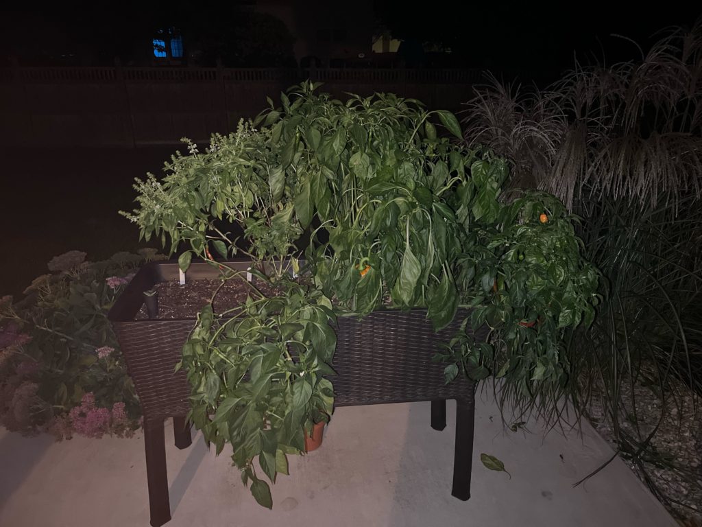 Is it possible to move this raised bed inside under grow lights for winter?