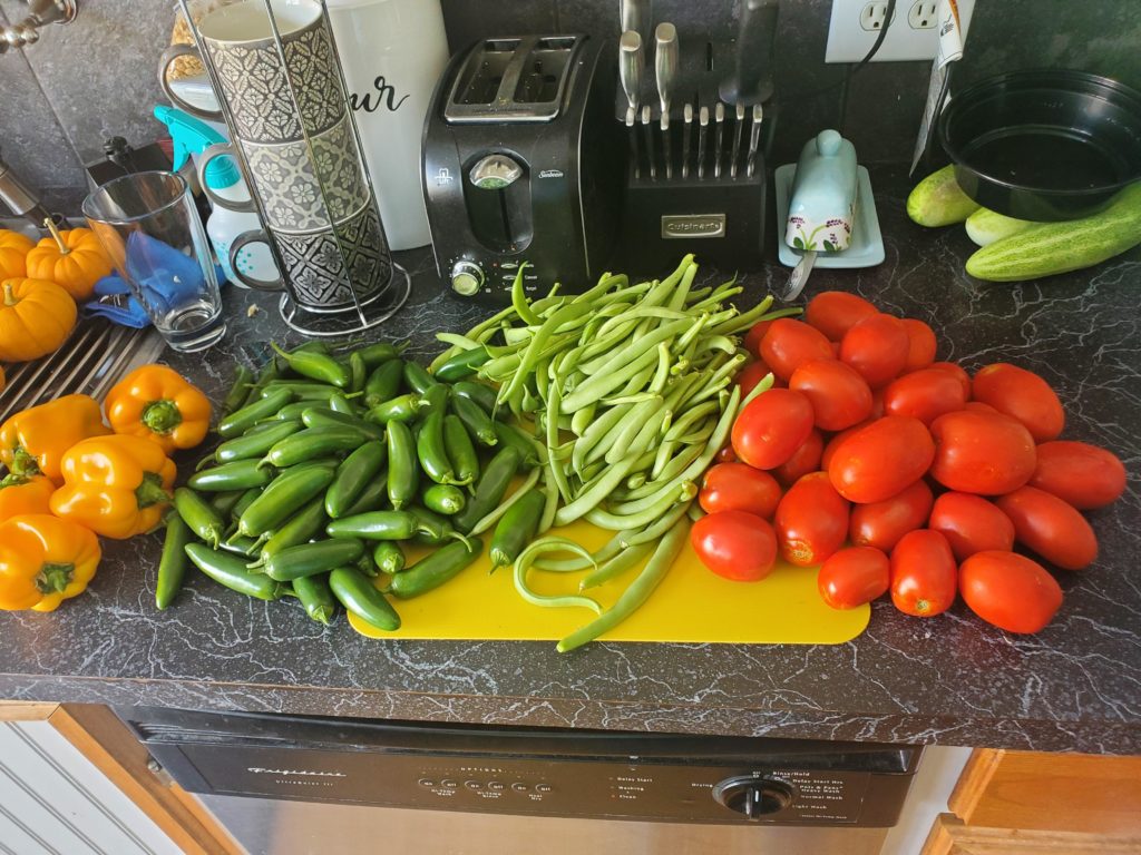 Help! what can I make with all these Roma tomatoes and jalapenos? I've already made salsa, jalapeno poppers, and pickled jalapenos.