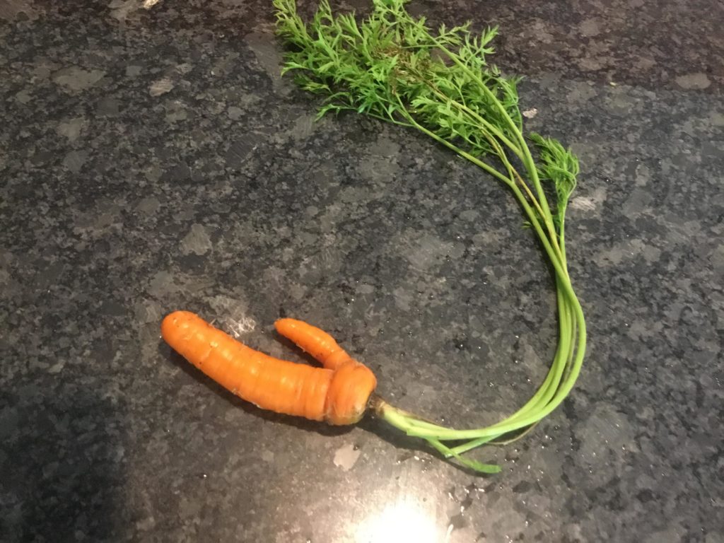 Life, umm, imitates “art” ?