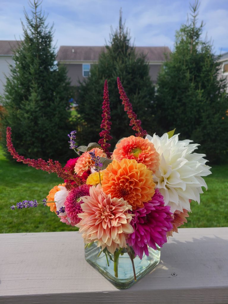 I call this one "what is 'edit'?"