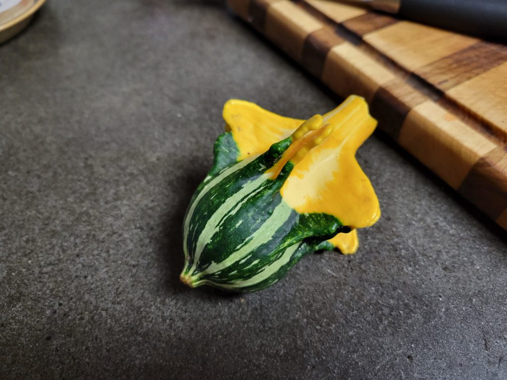 what type of gourd/squash is this? It was a volunteer, unsure of its origin.