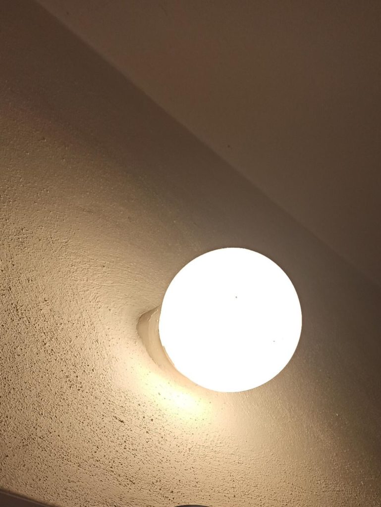 Question: Can lighting like this help the plants during the night?