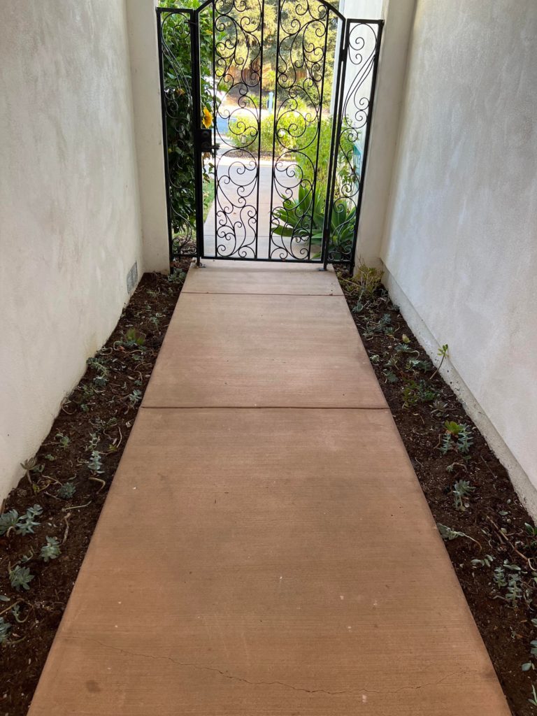 Have covered walkway in full shade all day with narrow beds on each side -don’t really want to put down hard scape. Any suggestions? - SoCal zone 9.
