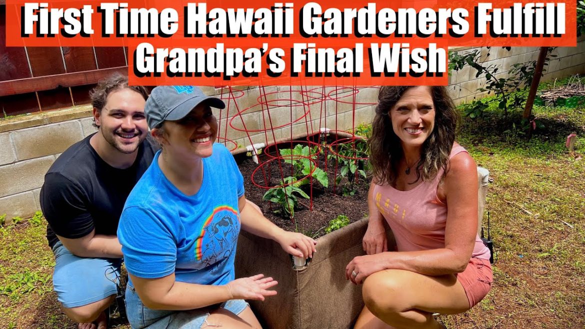 First Time Hawaii Gardeners Fulfill Grandpa’s Final Wish / Show the World Your Garden #5 🍅 🏝