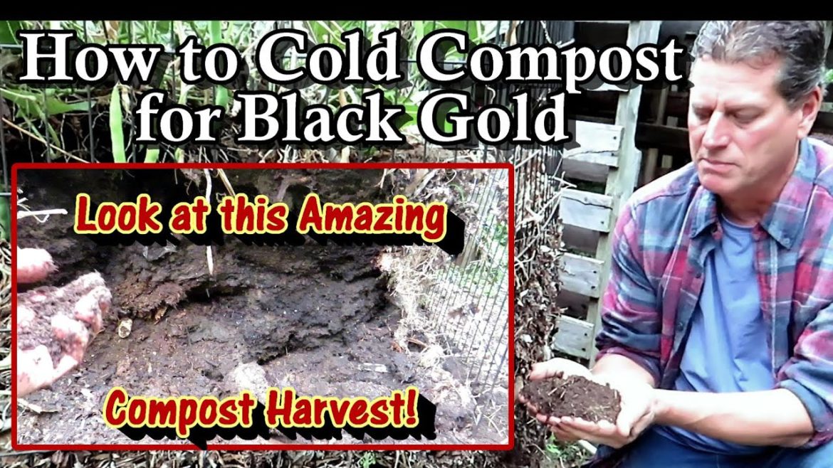 Fall Cold Composting Made Easy with An Amazing Compost Harvest: How to Harvesting Garden Black Gold!