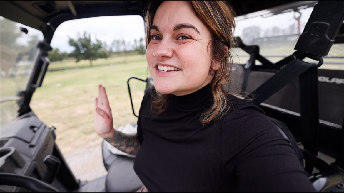 Planting the Fall Garden after the storm | VLOG