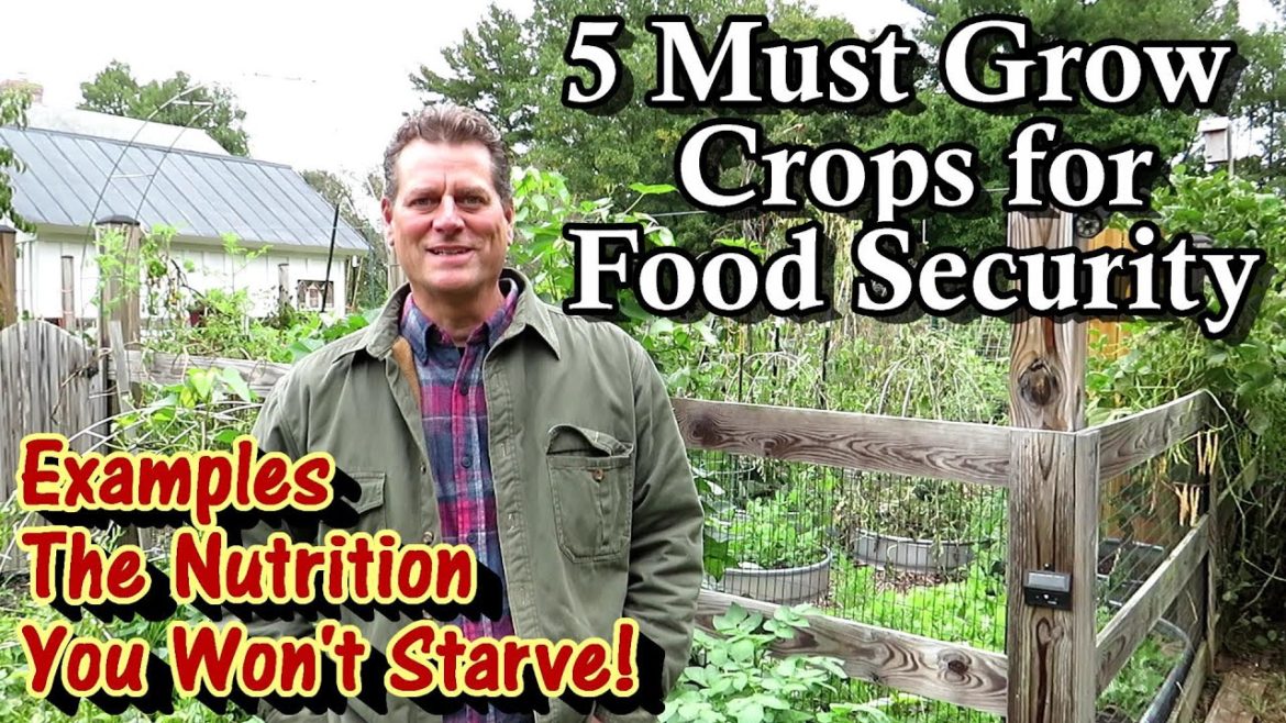 Gary Pilarchik: 5 Garden Crops to Make You More Self-Sufficient & Why I Recommend Them: You Won't Starve! 5 Garden Crops to Make You More Self-Sufficient & Why I Recommend Them: You Won't Starve!