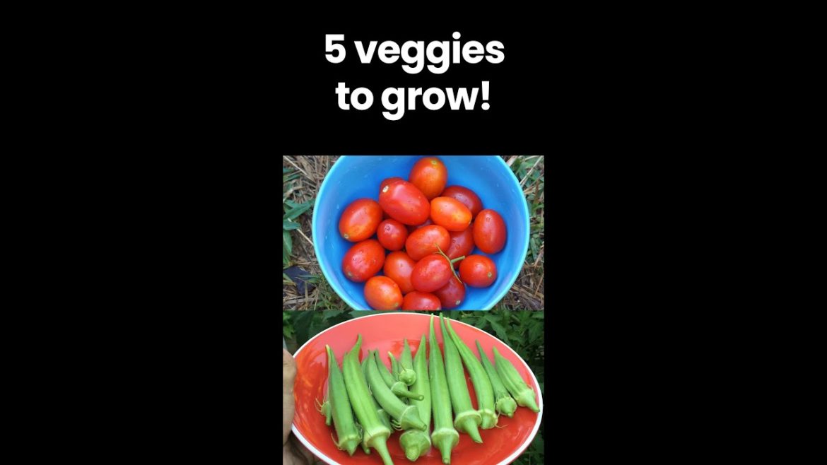 Top 5 veggies to grow #shorts