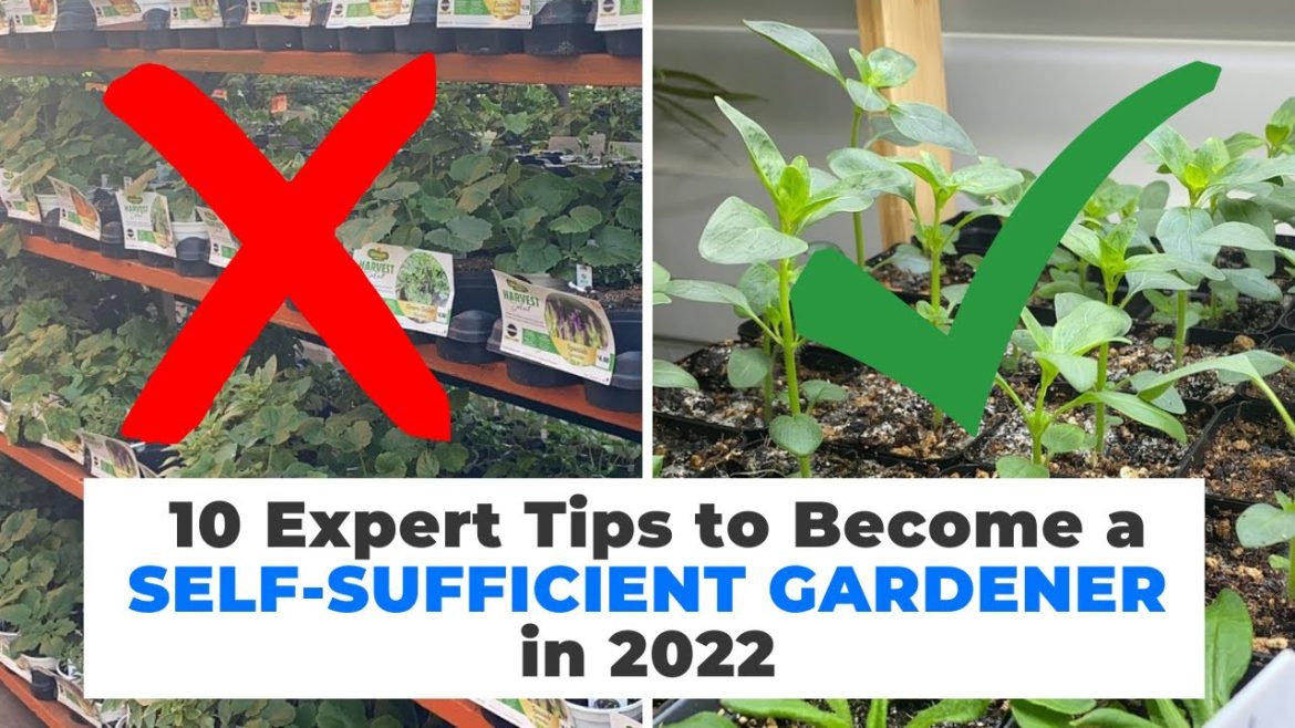 10 Expert Tips to Become a SELF-SUFFICIENT GARDENER in 2022 10 Expert Tips to Become a SELF-SUFFICIENT GARDENER in 2022