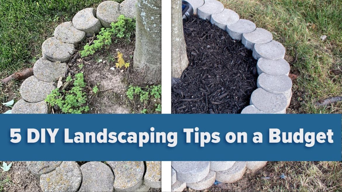5 DIY Landscaping Tips on a Budget 5 DIY Landscaping Tips on a Budget