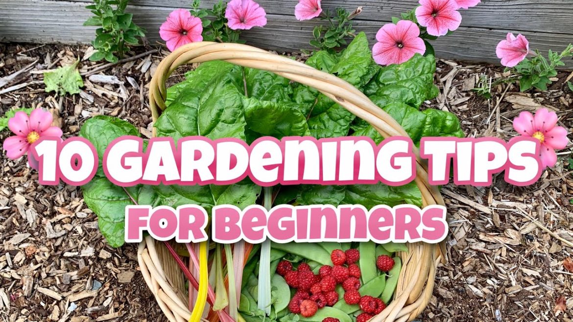 10 Beginner Gardening Tips – Gardening for Beginners, Garden #Stayhome #Withme 10 Beginner Gardening Tips - Gardening for Beginners, Garden #Stayhome #Withme