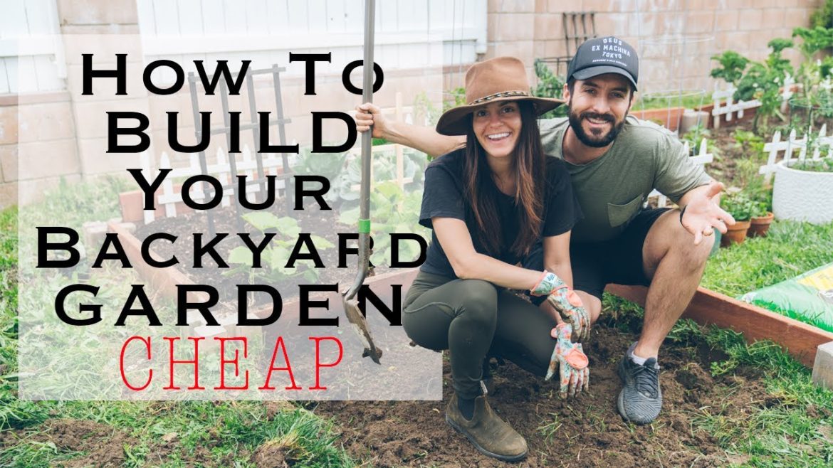 5 Cheap DIY Home Garden Tips to Grow Your Own Vegetables 5 Cheap DIY Home Garden Tips to Grow Your Own Vegetables