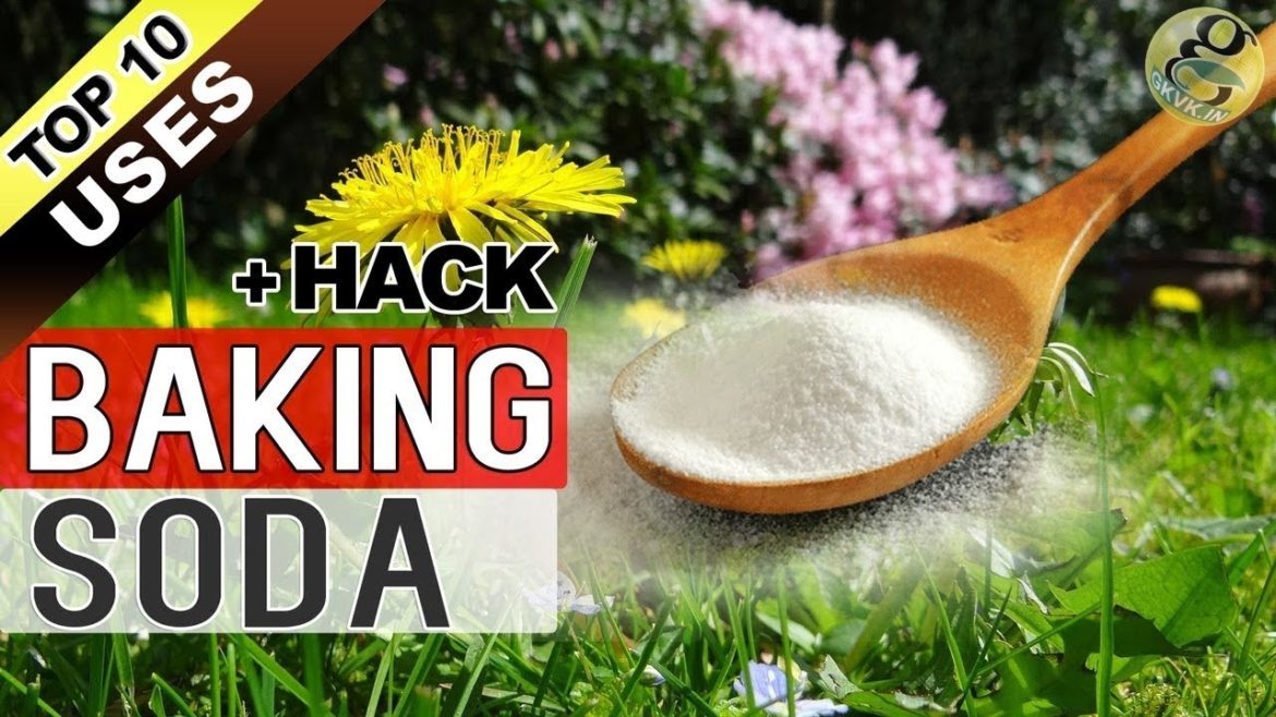 BAKING SODA IN GARDEN | TOP 10 Uses of Baking Soda Hacks in Gardening and Plants BAKING SODA IN GARDEN | TOP 10 Uses of Baking Soda Hacks in Gardening and Plants