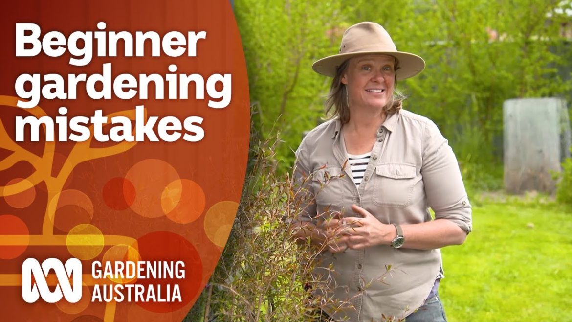 Follow these tips to avoid beginner gardener mistakes | Gardening 101 | Gardening Australia