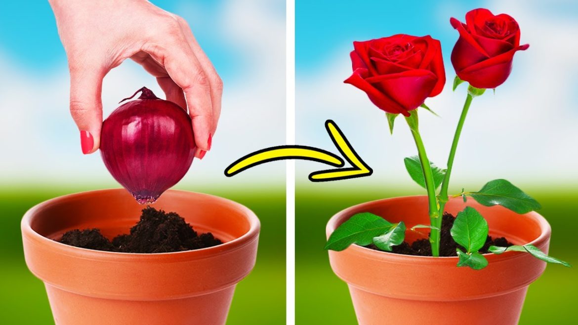 INCREDIBLE GARDENING TIPS AND GROWING HACKS FOR PLANT LOVERS INCREDIBLE GARDENING TIPS AND GROWING HACKS FOR PLANT LOVERS