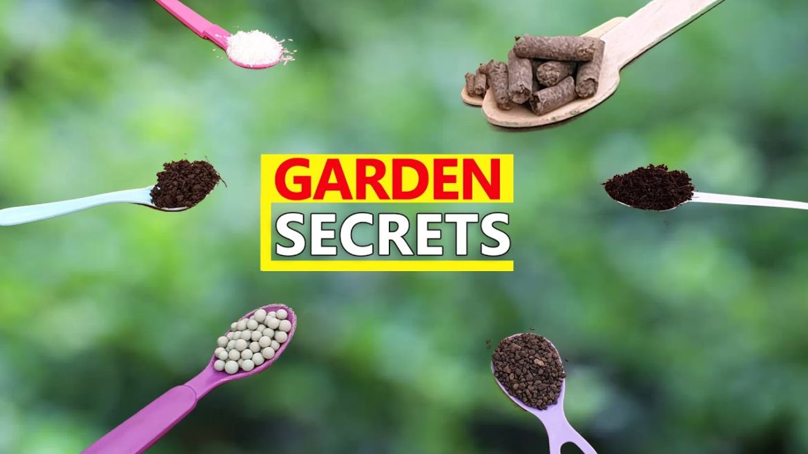 ALL GARDENING SECRETS YOU LEARN AT GARDEN TIPS? | LIST OF GARDENING VIDEOS ALL GARDENING SECRETS YOU LEARN AT GARDEN TIPS? | LIST OF GARDENING VIDEOS