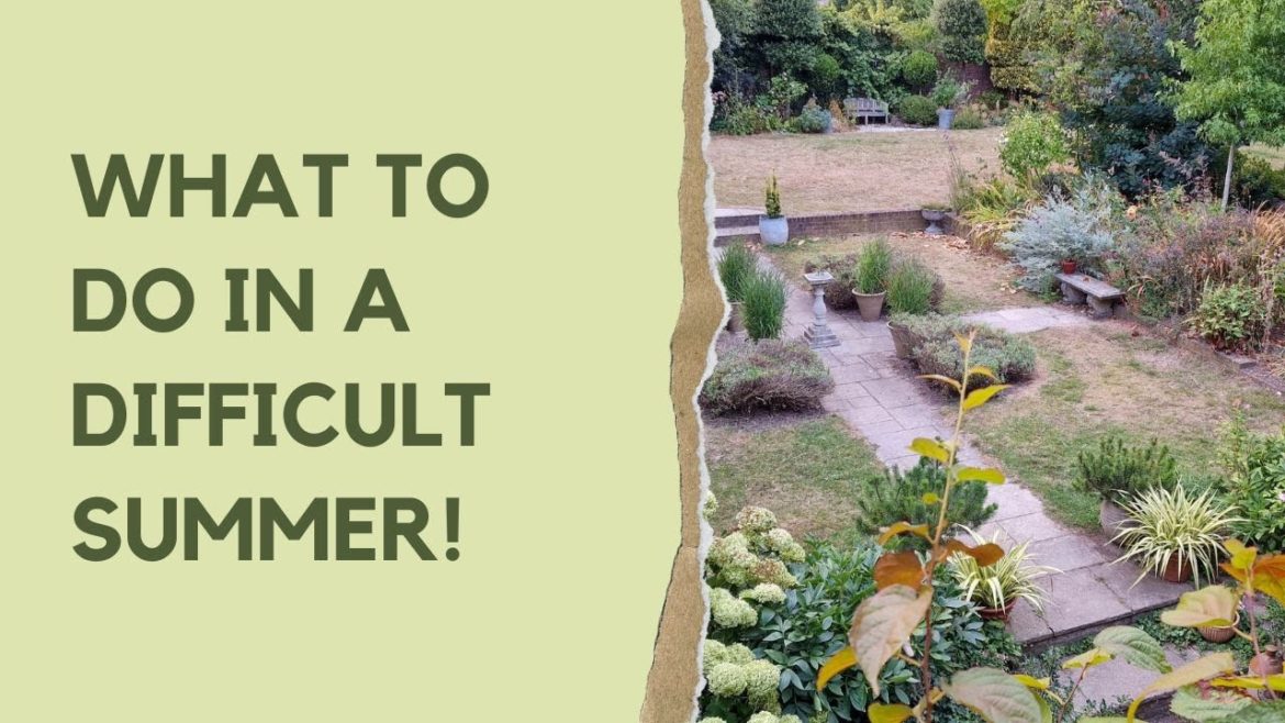 Late summer garden tips and tour – the garden is fried, and what to do about it Late summer garden tips and tour - the garden is fried, and what to do about it