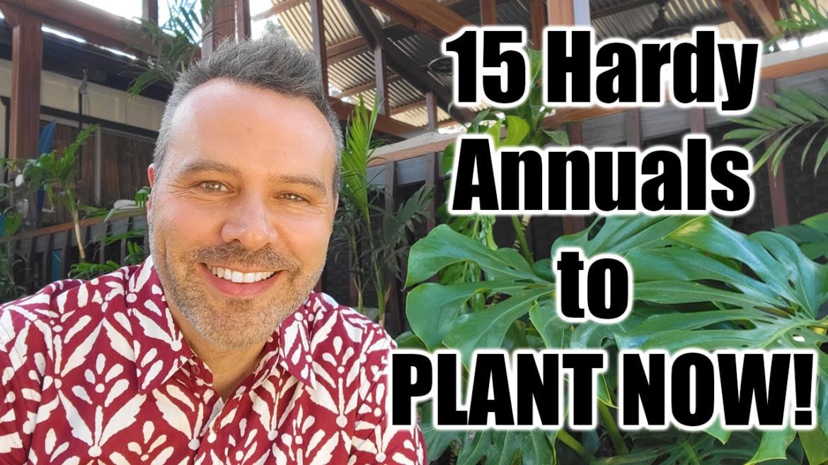 California Garden TV: Hardy Annual Flowers to Plant in Fall // Any Climate! Hardy Annual Flowers to Plant in Fall // Any Climate!