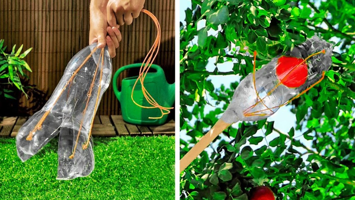 Awesome Gardening Hacks And Plants Growing Tips Awesome Gardening Hacks And Plants Growing Tips