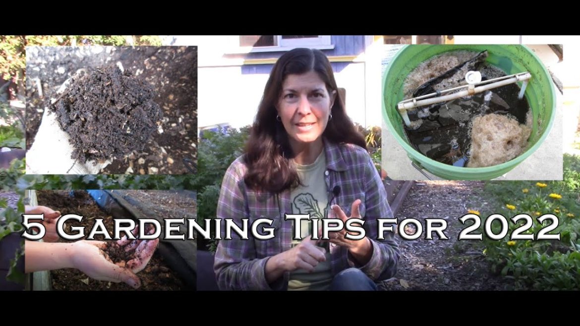 5 Vegetable Gardening Tips for 2022