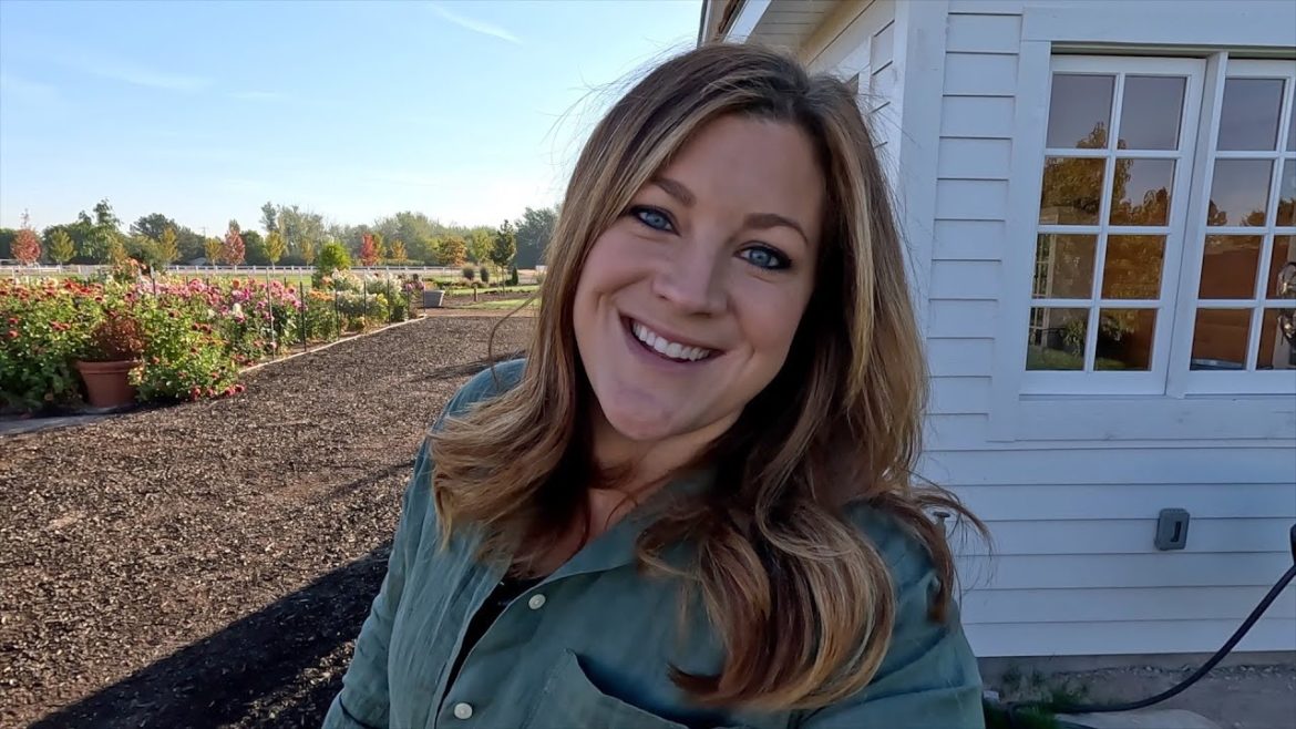 Garden Answer: HUGE Butternut Squash Harvest, Orchard Grass Update & Chicken Coop Window Box Planting! 🙌🌾🧡 HUGE Butternut Squash Harvest, Orchard Grass Update & Chicken Coop Window Box Planting! 🙌🌾🧡