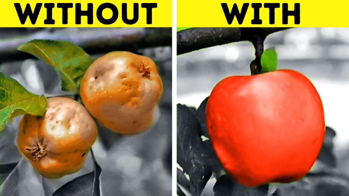 Incredible Gardening Tips And Growing Hacks