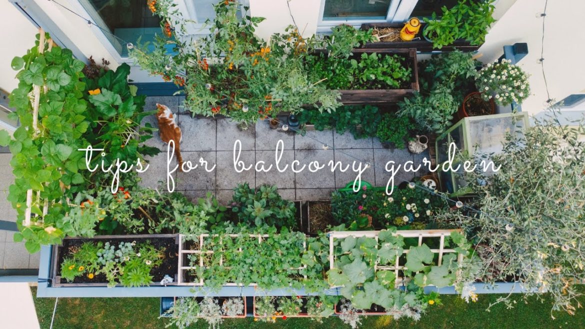 #28 Essential Tips for Starting a Balcony Vegetable Garden | Urban Gardening #28 Essential Tips for Starting a Balcony Vegetable Garden | Urban Gardening