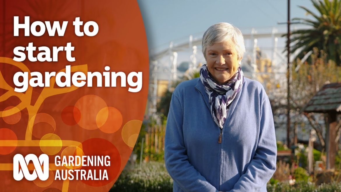 Beginner gardening tips for starting a successful garden | Gardening 101 | Gardening Australia