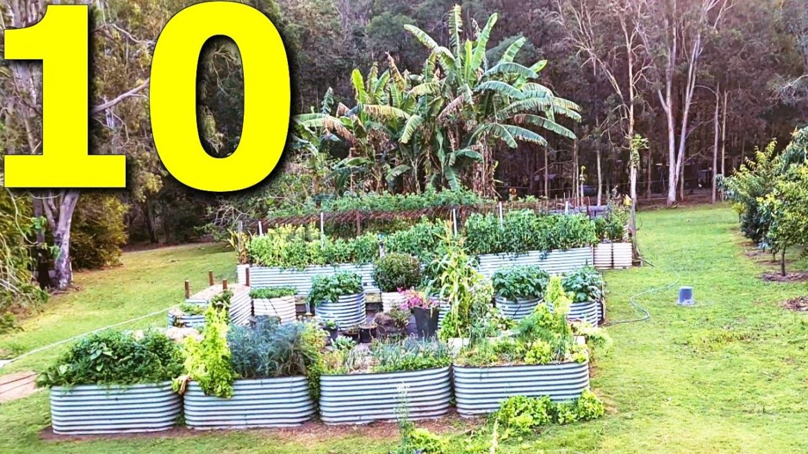 10 Vegetables You Should ALWAYS Grow 10 Vegetables You Should ALWAYS Grow