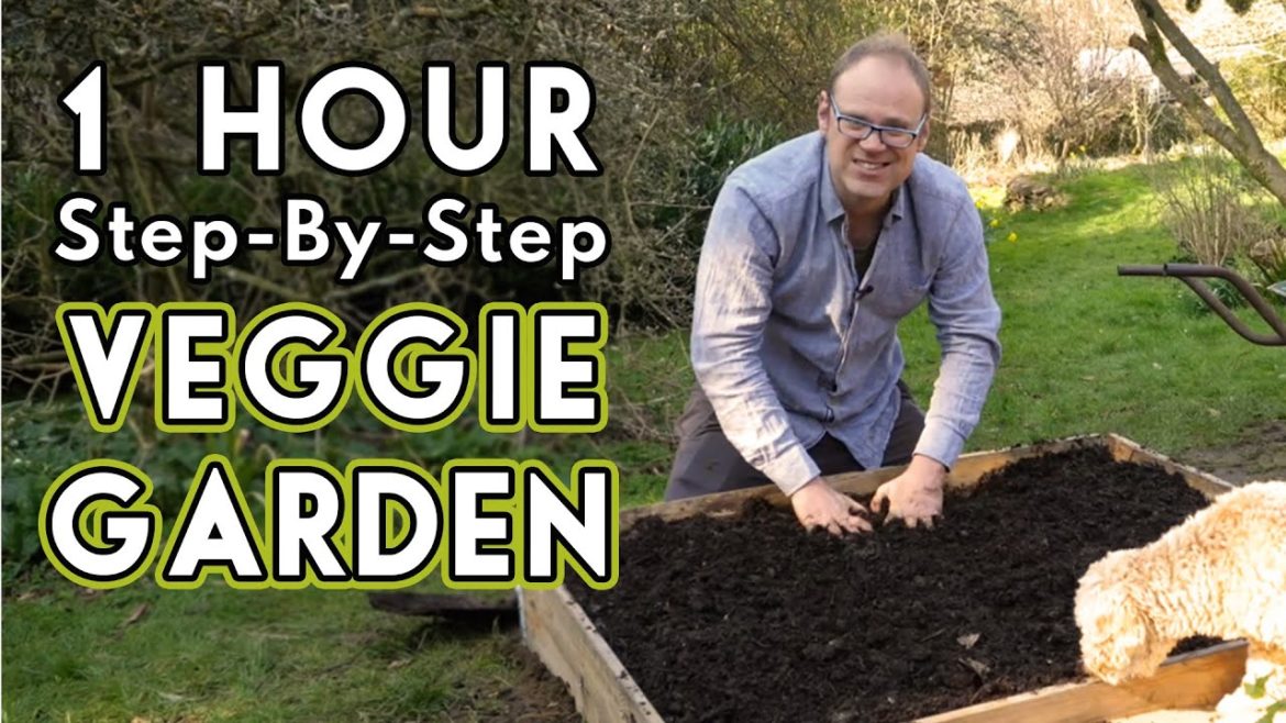 New Vegetable Garden: How To Get Started New Vegetable Garden: How To Get Started